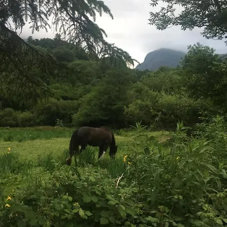 Muckross Luxury Residences Vakantiehuis