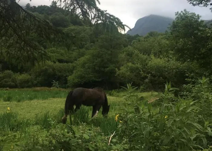 Muckross Luxury Residences Ferienhaus